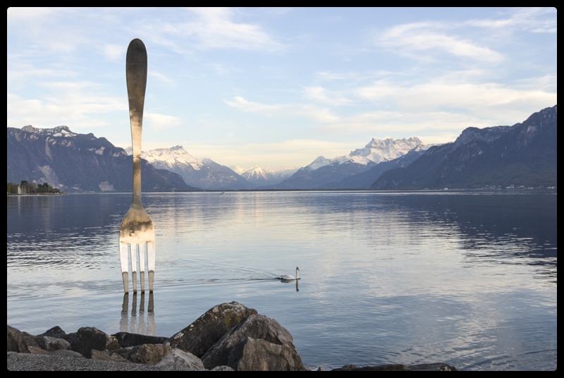 A fork in Lake Geneva.  Just outside our apartment.